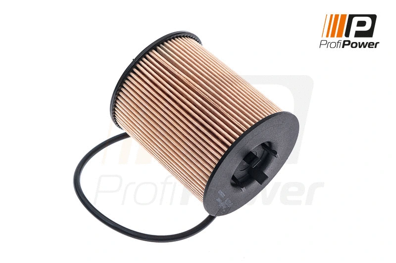 Filtre à huile ProfiPower 1F0076