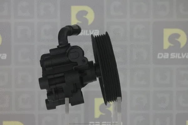 Pompe hydraulique, direction DA SILVA DP3388