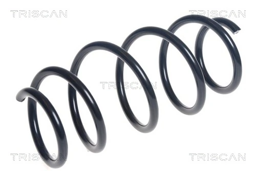 Ressort de suspension TRISCAN 8750 16117