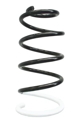Ressort de suspension SPIDAN 86713