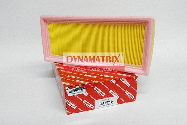 Filtre à air DYNAMATRIX DAF719