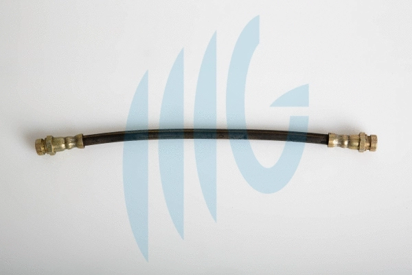 Flexible de frein RICAMBIFLEX GM 02300879