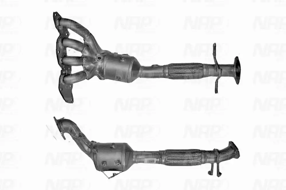 Catalyseur NAP carPARTS GmbH CAK11206