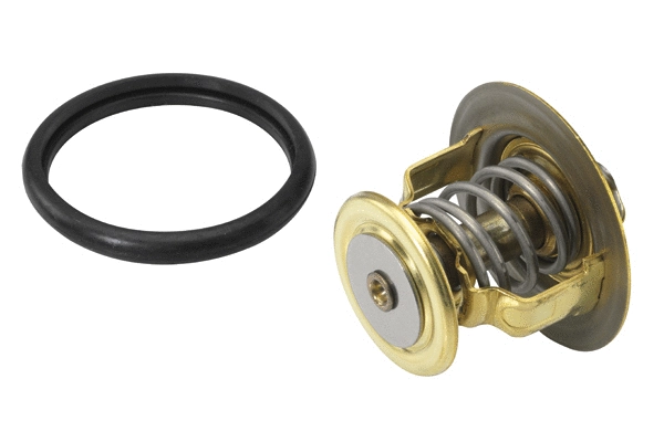 Thermostat, liquide de refroidissement BorgWarner (Wahler) 410131.88D