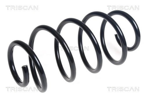 Ressort de suspension TRISCAN 8750 16147