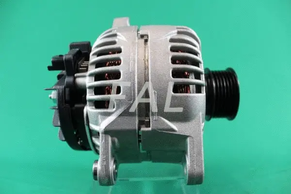 Alternateur FAL Anlasser- und Lichtmaschinenservice F013892/1