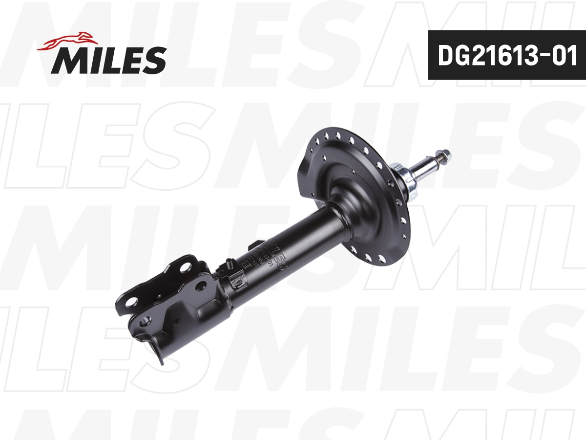 Amortisseur MILES DG21613-01