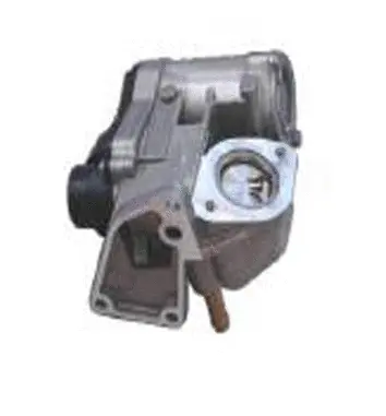 Vanne EGR ASSO 70.0019