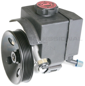Pompe hydraulique, direction Professional Parts 61430195