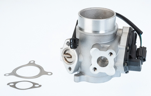 Vanne EGR BorgWarner 710982D