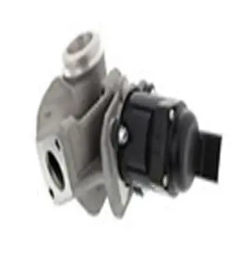 Vanne EGR ASSO 70.0069