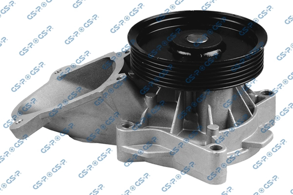 Pompe à eau, refroidissement du moteur GSP WP900113