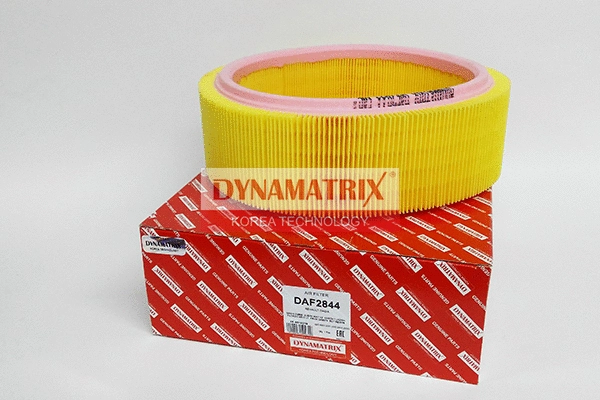 Filtre à air DYNAMATRIX DAF2844