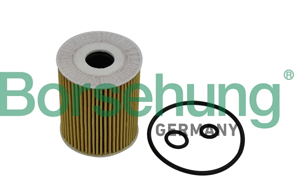 Filtre à huile Borsehung B10533