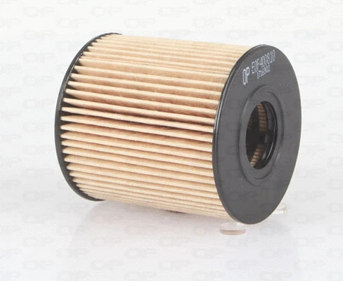 Filtre à huile OPEN PARTS EOF4008.10