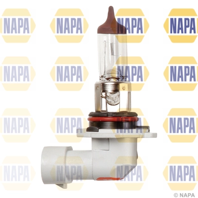 Ampoule, projecteur antibrouillard NAPA NBU19005