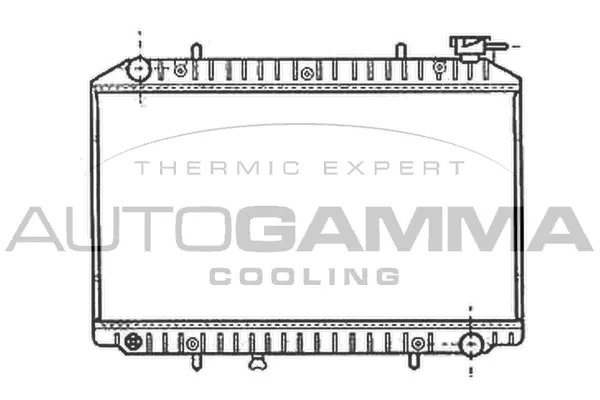 Radiateur, refroidissement du moteur AUTOGAMMA 102201