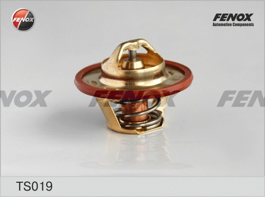 Thermostat, liquide de refroidissement FENOX TS019