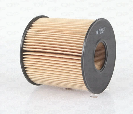 Filtre à huile OPEN PARTS EOF4061.10