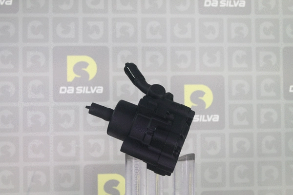 Pompe hydraulique, direction DA SILVA DP3596