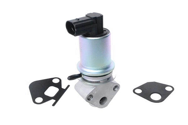 Vanne EGR ASAM AUTOMOTIVE 74203