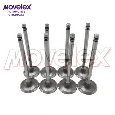 Soupape d'admission Movelex M20941-1