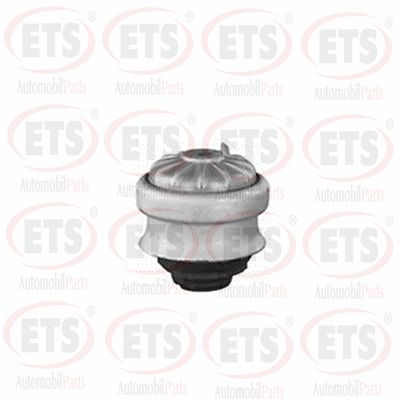 Support moteur ETS 15.EM.105