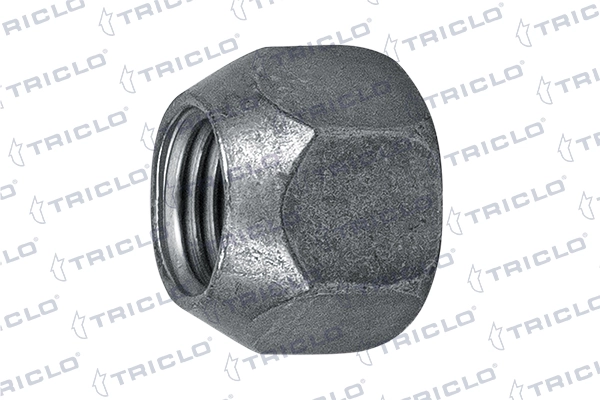 Écrou de roue TRICLO 338745