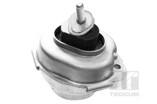 Support moteur TEDGUM 00088466