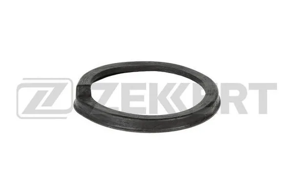Patin de ressort ZEKKERT GM-1653
