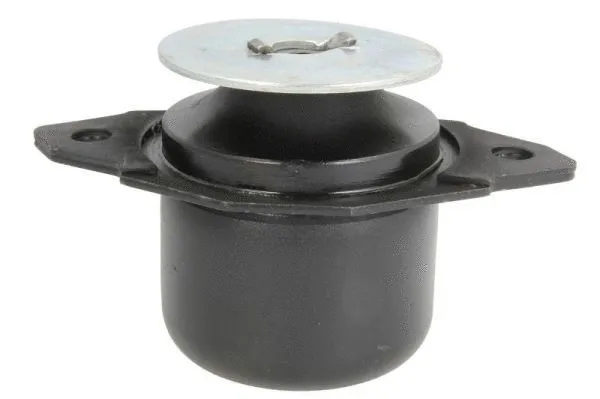 Support moteur REINHOCH RH11-0108