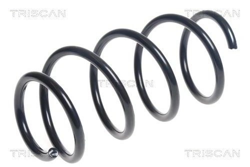 Ressort de suspension TRISCAN 8750 24193