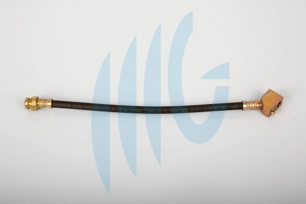 Flexible de frein RICAMBIFLEX GM 02100732