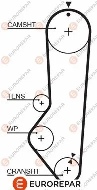 Courroie crantée EUROREPAR 1633135980