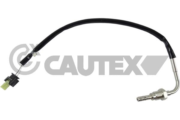 Capteur, température des gaz CAUTEX 770256