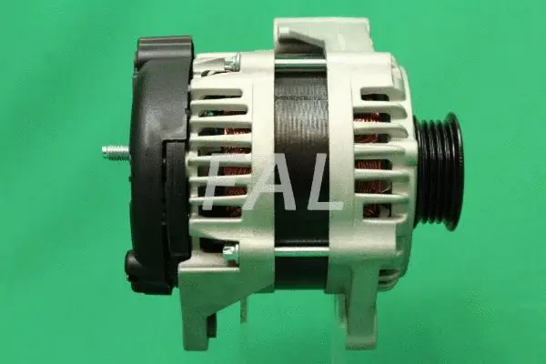 Alternateur FAL Anlasser- und Lichtmaschinenservice F011765/1