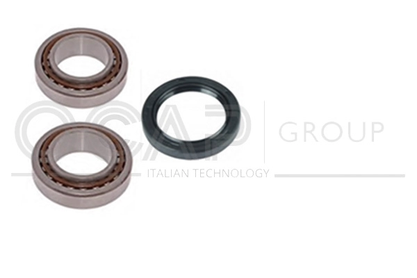 Kit de roulements de roue OCAP 6120110