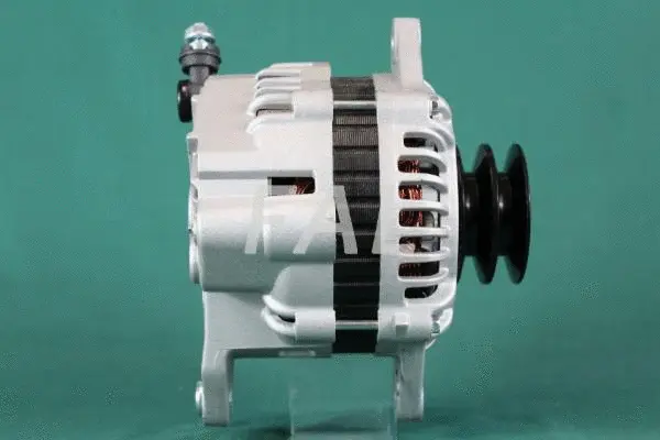 Alternateur FAL Anlasser- und Lichtmaschinenservice F012768/2