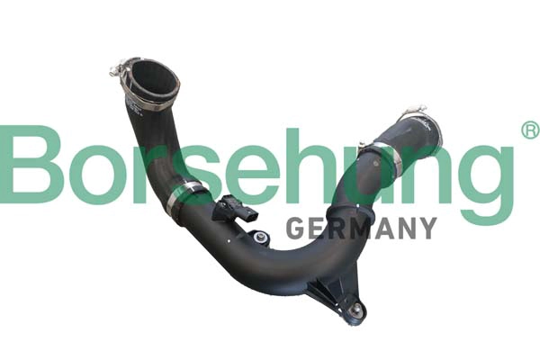Gaine de suralimentation Borsehung B12347