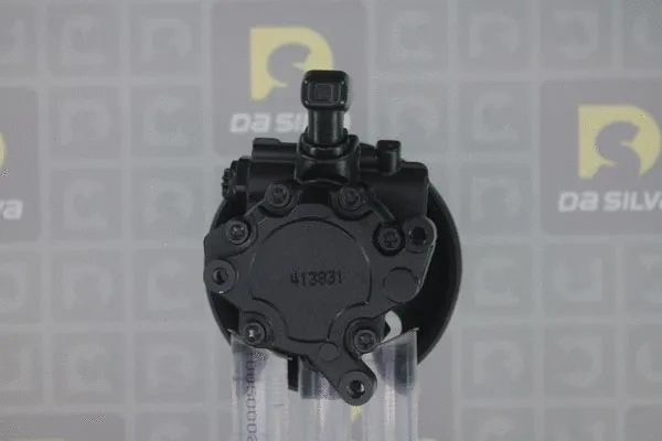 Pompe hydraulique, direction DA SILVA DP3182