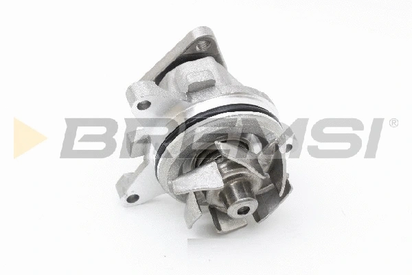 Pompe à eau, refroidissement du moteur BREMSI WP0613