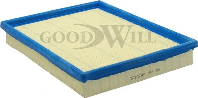 Filtre à air GOODWILL AG 267