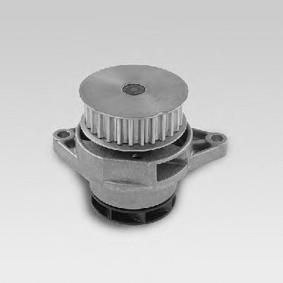 Pompe à eau, refroidissement du moteur MTR 12135600