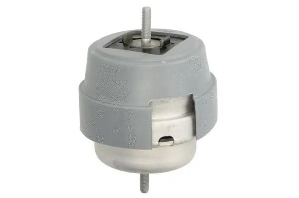 Support moteur REINHOCH RH11-0063