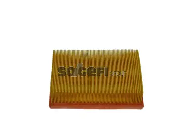 Filtre à air FRAM CA5205