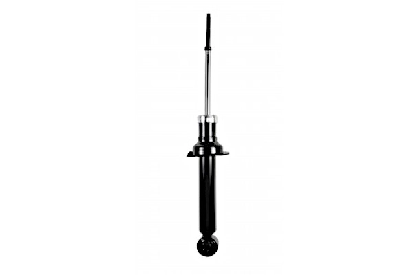 Amortisseur GOOM F220G0940
