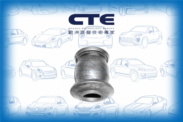 Suspension, bras de liaison CTE CBH07004