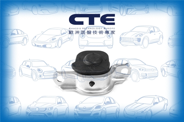Suspension, bras de liaison CTE CBH05025R