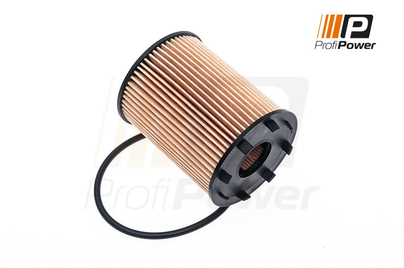 Filtre à huile ProfiPower 1F0043