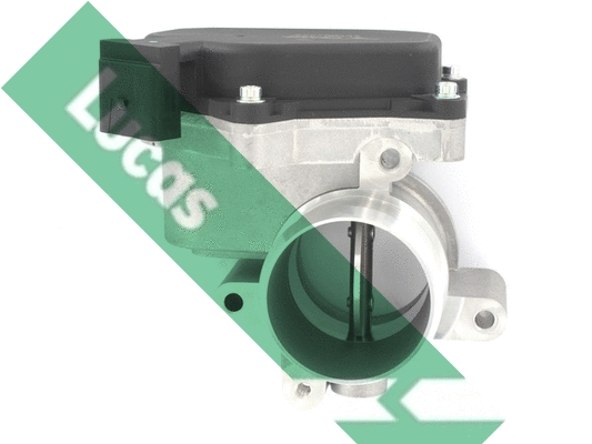 Corps papillon LUCAS LTH554